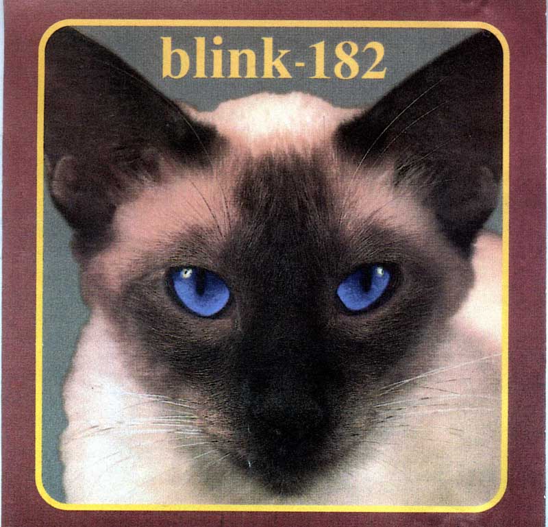 Chesire Cat